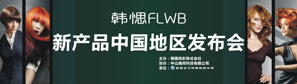 韩愢FLWB设计图(图3)